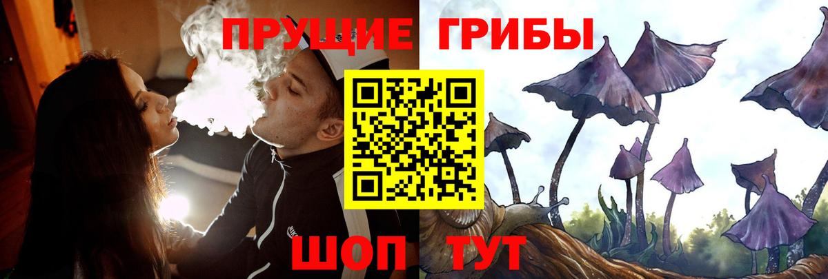 Галлюциногенные грибы мицелий Красноярск